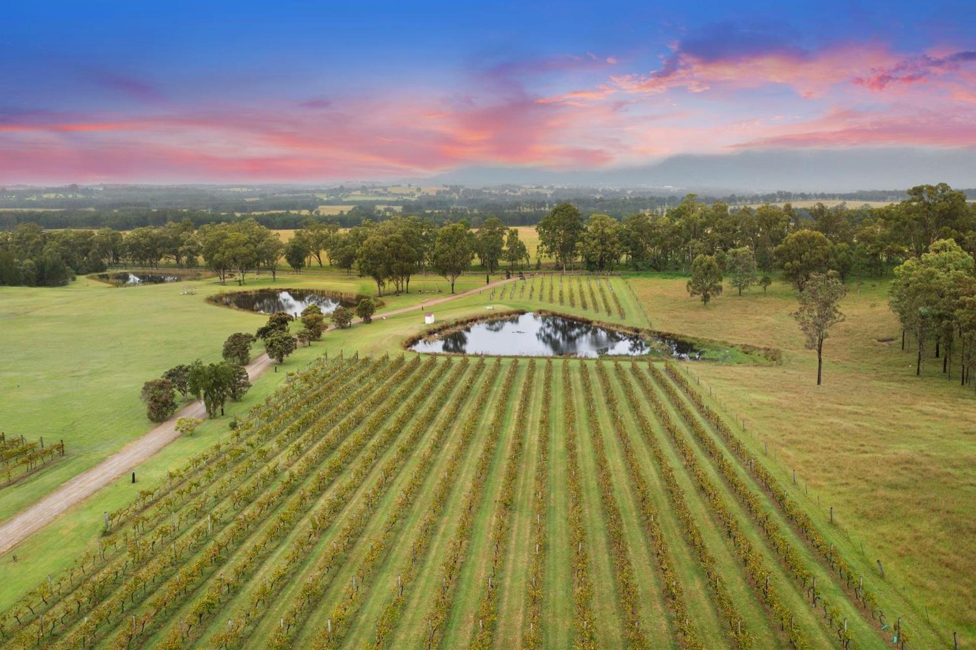 Bracken Ridge Vineyard The Entire Estate Rothbury Exterior photo