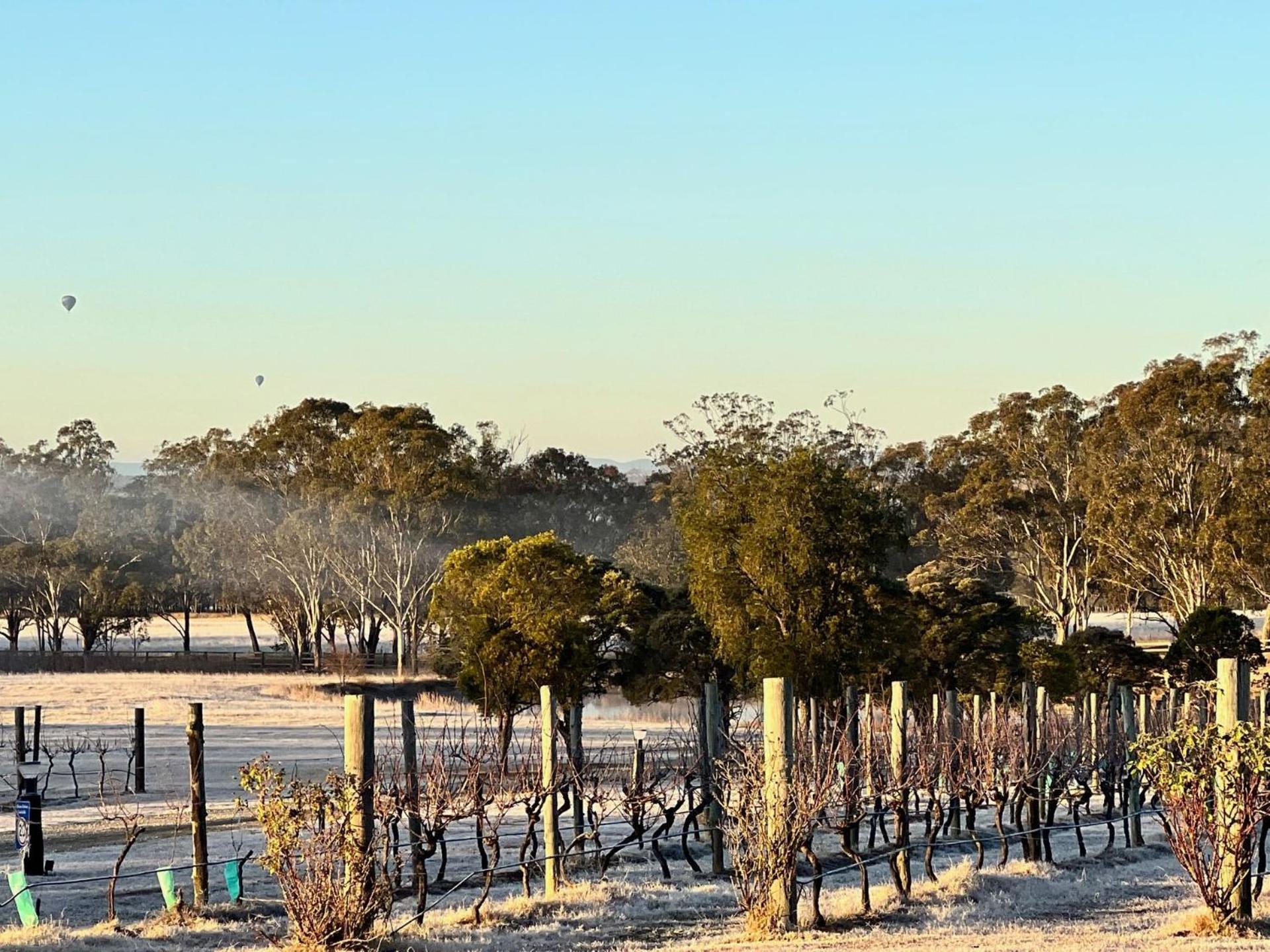 Bracken Ridge Vineyard The Entire Estate Rothbury Exterior photo